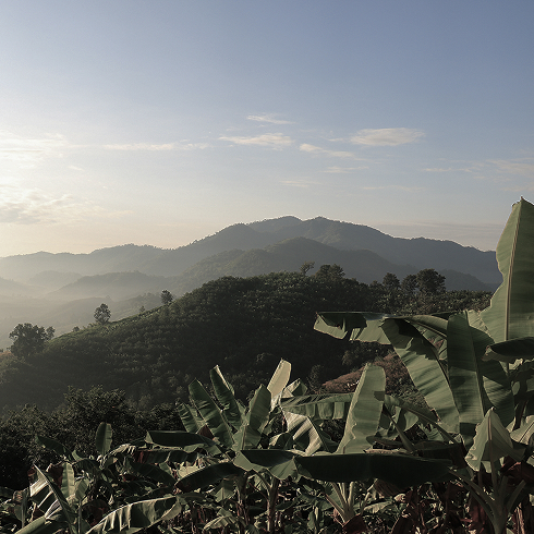 Сегодня JDE Россия — один из лидеров FMCG сектора по снижению воздействия на окружающую среду.