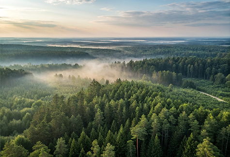 Снижение воздействия на окружающую среду